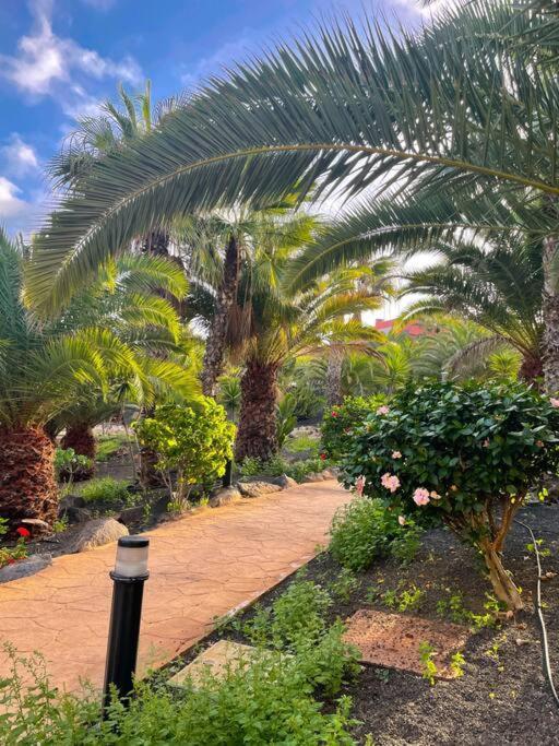 Appartamento New Tamarindo La Ola Corralejo Esterno foto