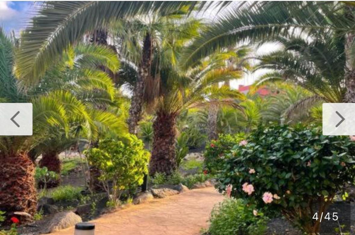 Appartamento New Tamarindo La Ola Corralejo Esterno foto